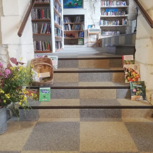 500326162_1098540765644861_8329202974437335422_n