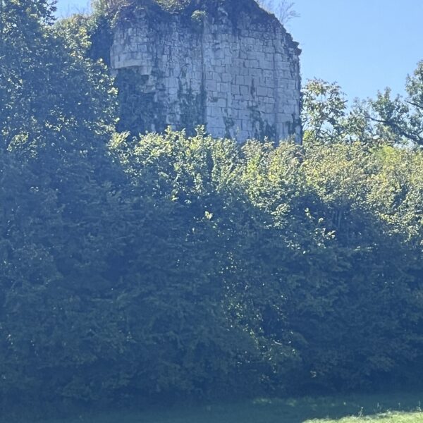 Ruines des Tours de Vernodes 2