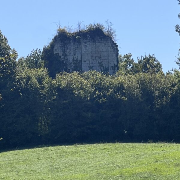 Ruines des Tours de Vernodes 3