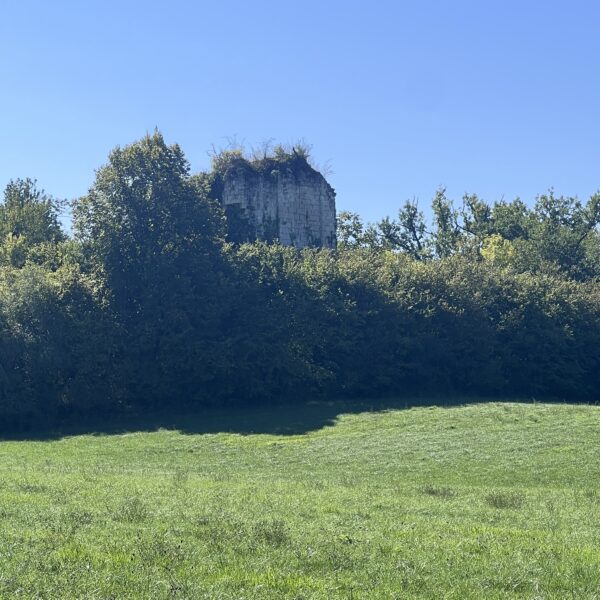 Ruines des Tours de Vernodes
